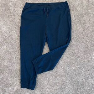 The North Face Men’s Joggers Pants Size XXL Blue NF0A7ZUX Gym Active Polyester ,